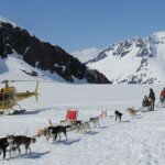 Dog Sled Tour on the Herbert Glacier