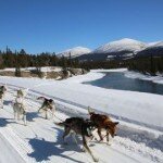 Feature Mushing School